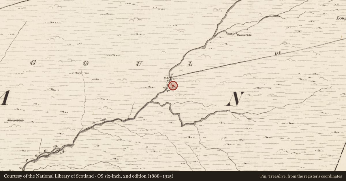 Ordnance Survey six-inch map, 2nd edition (1888–1915) covering the location of Hut site, Coorleagh, County Kerry, with a pin at the register's coordinates