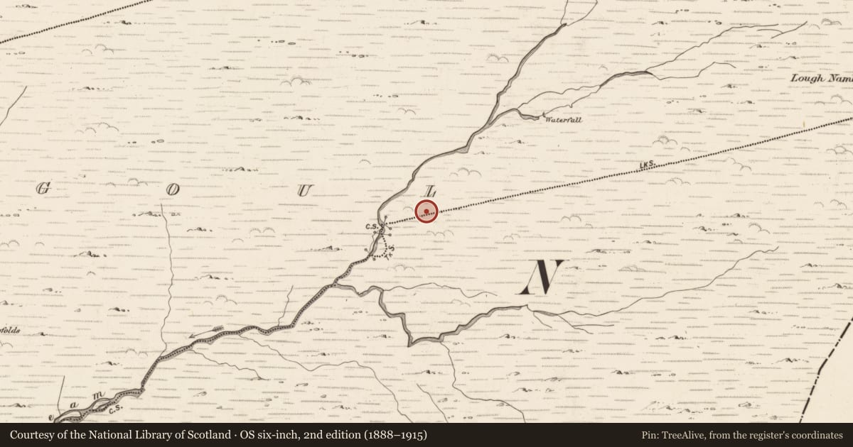Ordnance Survey six-inch map, 2nd edition (1888–1915) covering the location of Field boundary, Coorleagh, County Kerry, with a pin at the register's coordinates