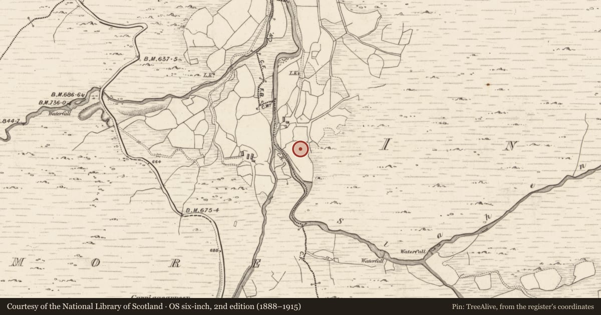 Ordnance Survey six-inch map, 2nd edition (1888–1915) covering the location of Ogham stone, Inchinanagh, County Kerry, with a pin at the register's coordinates