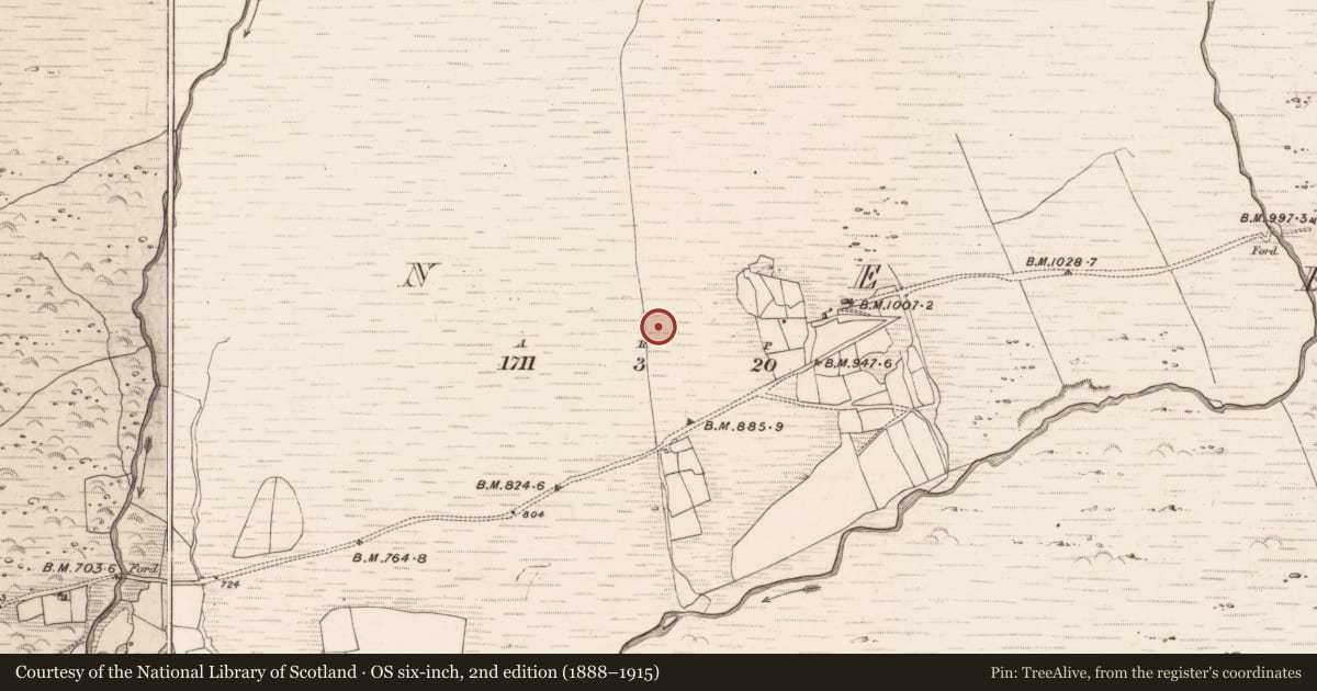 Ordnance Survey six-inch map, 2nd edition (1888–1915) covering the location of Standing stone, Erneen, County Kerry, with a pin at the register's coordinates