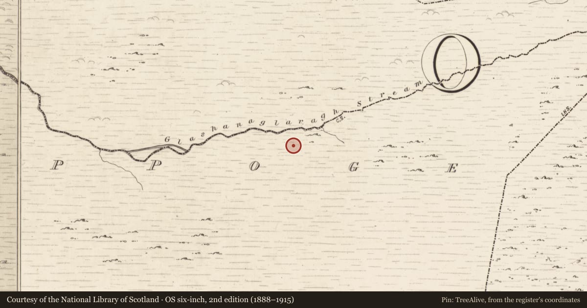 Ordnance Survey six-inch map, 2nd edition (1888–1915) covering the location of Field boundary, Coolnagoppoge, County Kerry, with a pin at the register's coordinates