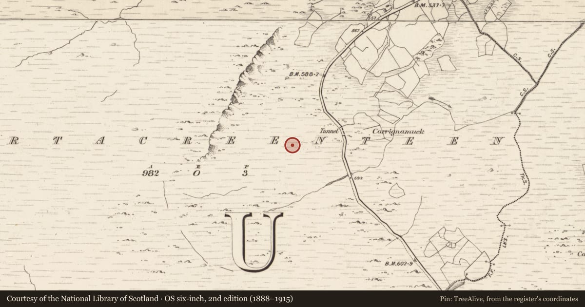 Ordnance Survey six-inch map, 2nd edition (1888–1915) covering the location of Hut site, Gortacreenteen, County Kerry, with a pin at the register's coordinates