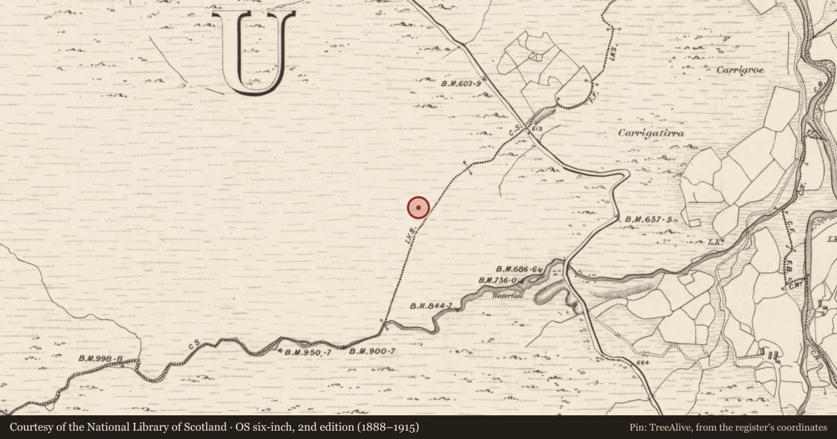 Ordnance Survey six-inch map, 2nd edition (1888–1915) covering the location of Field boundary, Gortacreenteen, County Kerry, with a pin at the register's coordinates