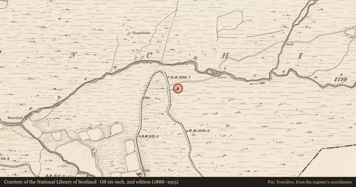 Ordnance Survey six-inch map, 2nd edition (1888–1915) covering the location of Hut site, Inchinanagh, County Kerry, with a pin at the register's coordinates