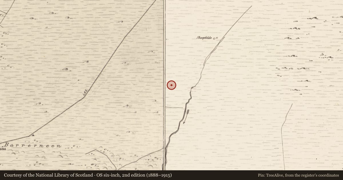 Ordnance Survey six-inch map, 2nd edition (1888–1915) covering the location of Hut site, Erneen, County Kerry, with a pin at the register's coordinates