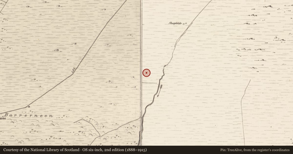 Ordnance Survey six-inch map, 2nd edition (1888–1915) covering the location of Field boundary, Erneen, County Kerry, with a pin at the register's coordinates