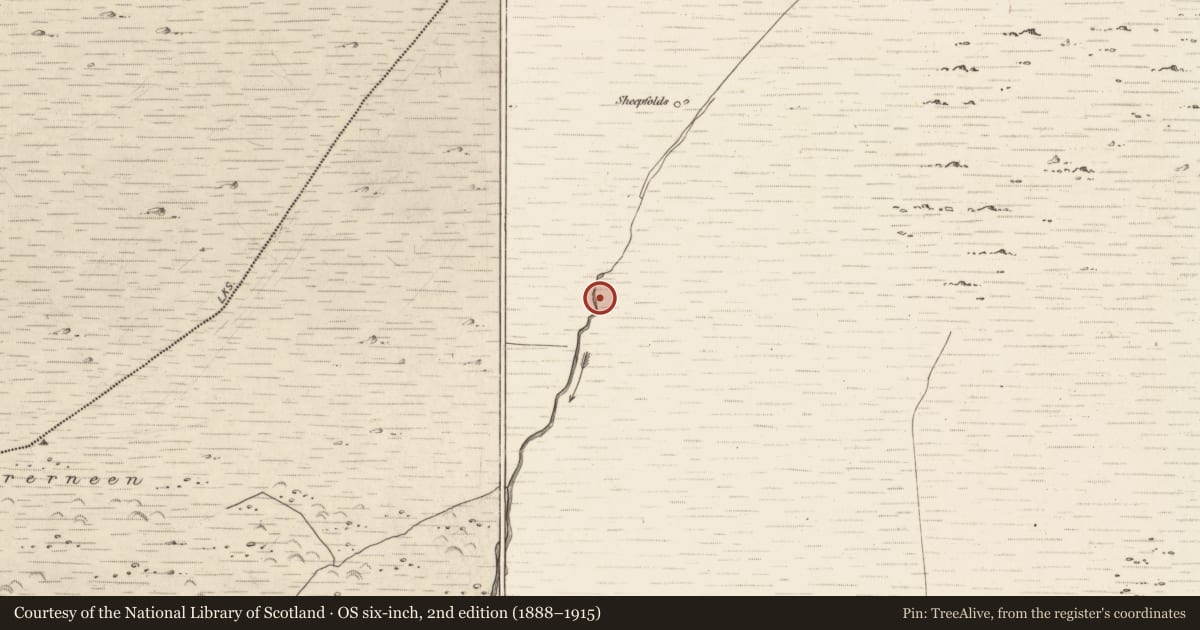 Ordnance Survey six-inch map, 2nd edition (1888–1915) covering the location of Hut site, Erneen, County Kerry, with a pin at the register's coordinates