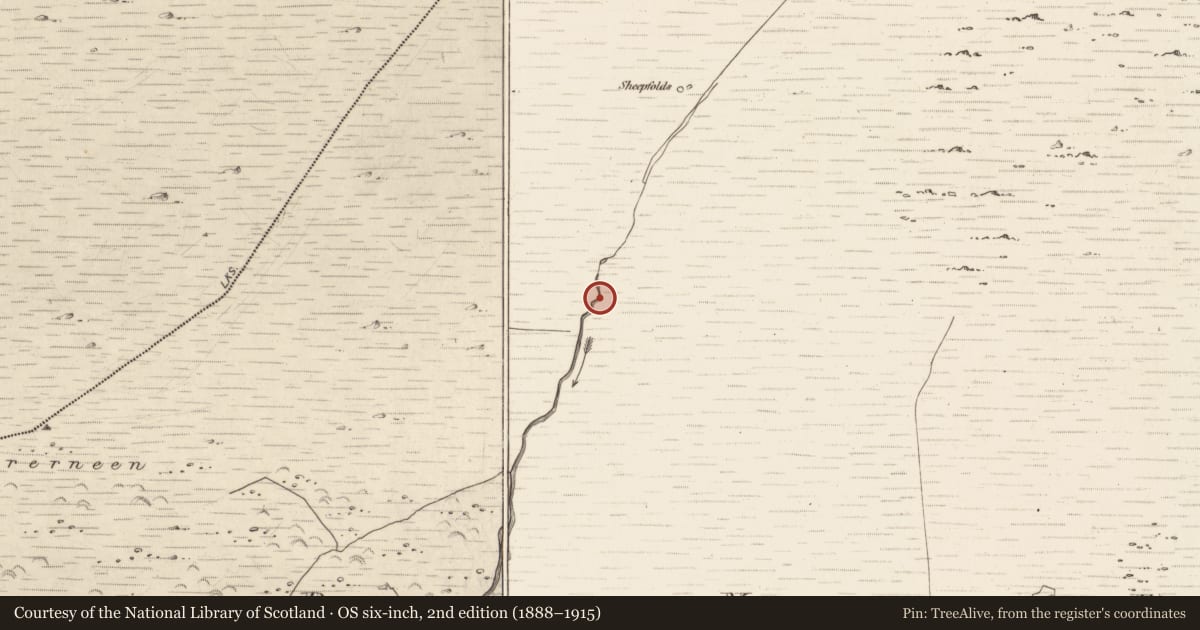 Ordnance Survey six-inch map, 2nd edition (1888–1915) covering the location of Enclosure, Erneen, County Kerry, with a pin at the register's coordinates