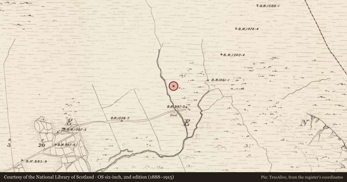Ordnance Survey six-inch map, 2nd edition (1888–1915) covering the location of Standing stone, Erneen, County Kerry, with a pin at the register's coordinates