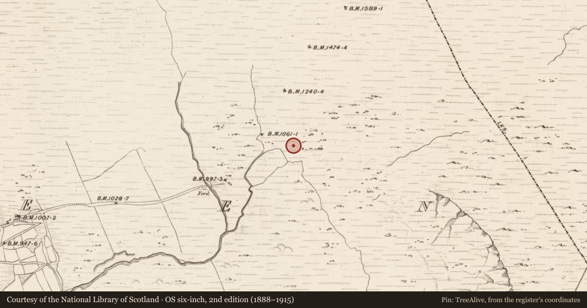 Ordnance Survey six-inch map, 2nd edition (1888–1915) covering the location of Hut site, Erneen, County Kerry, with a pin at the register's coordinates