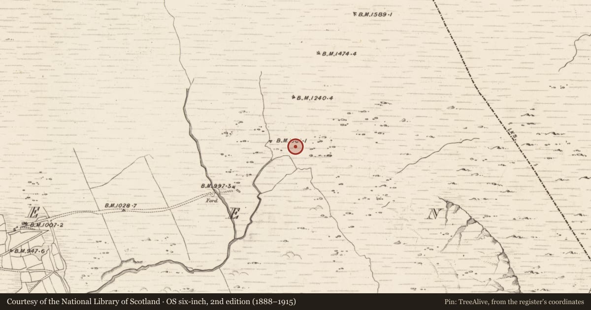 Ordnance Survey six-inch map, 2nd edition (1888–1915) covering the location of Hut site, Erneen, County Kerry, with a pin at the register's coordinates