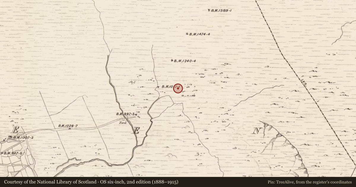 Ordnance Survey six-inch map, 2nd edition (1888–1915) covering the location of Hut site, Erneen, County Kerry, with a pin at the register's coordinates
