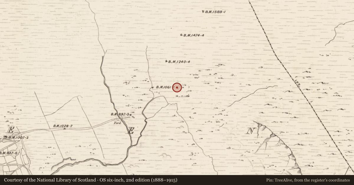 Ordnance Survey six-inch map, 2nd edition (1888–1915) covering the location of Hut site, Erneen, County Kerry, with a pin at the register's coordinates