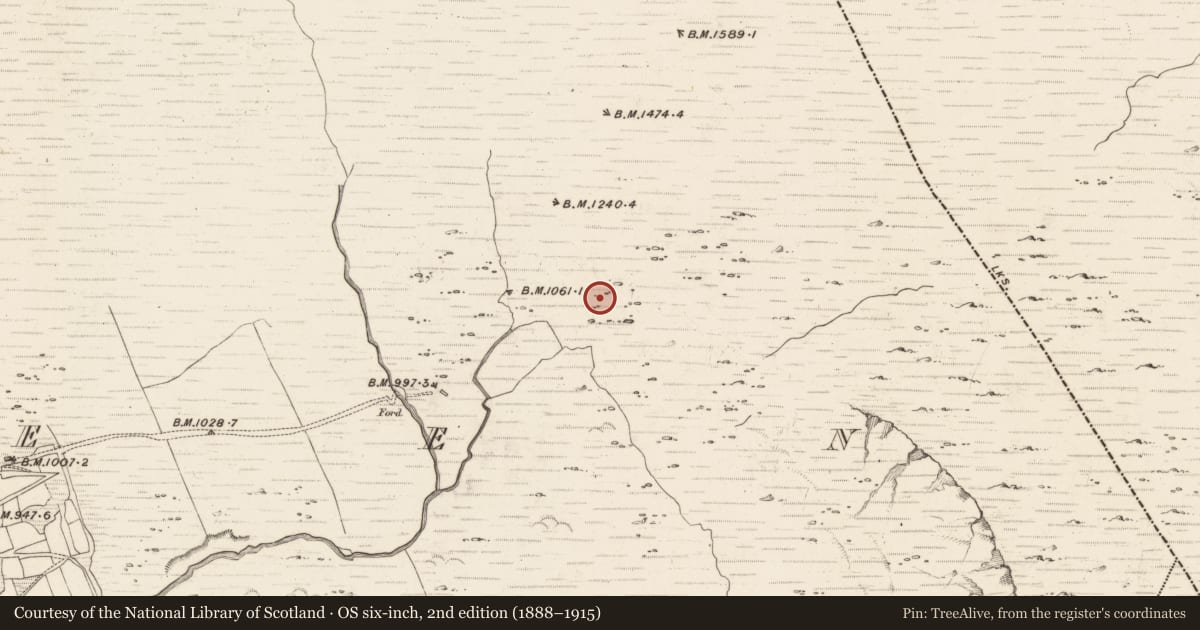 Ordnance Survey six-inch map, 2nd edition (1888–1915) covering the location of Hut site, Erneen, County Kerry, with a pin at the register's coordinates