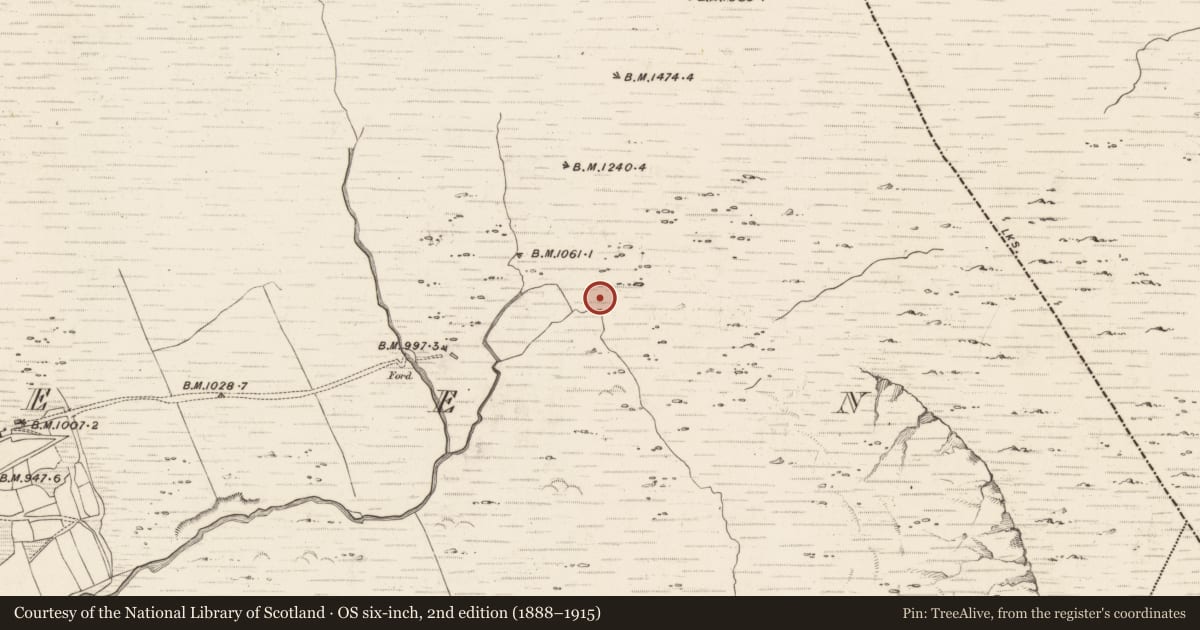 Ordnance Survey six-inch map, 2nd edition (1888–1915) covering the location of Hut site, Erneen, County Kerry, with a pin at the register's coordinates