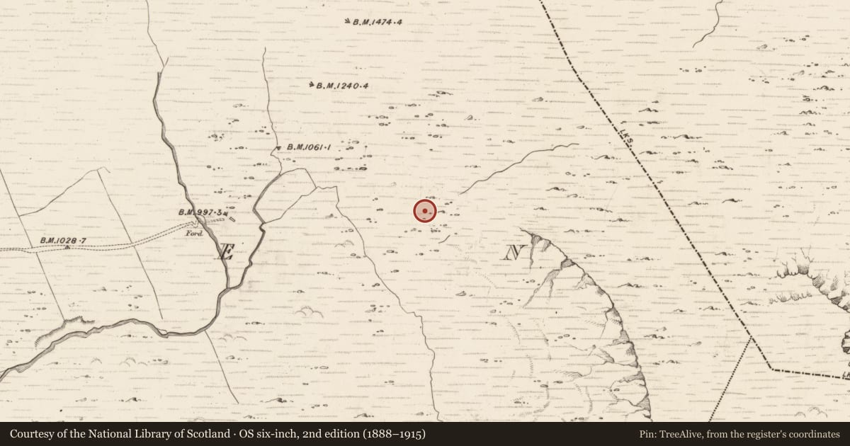 Ordnance Survey six-inch map, 2nd edition (1888–1915) covering the location of Hut site, Erneen, County Kerry, with a pin at the register's coordinates