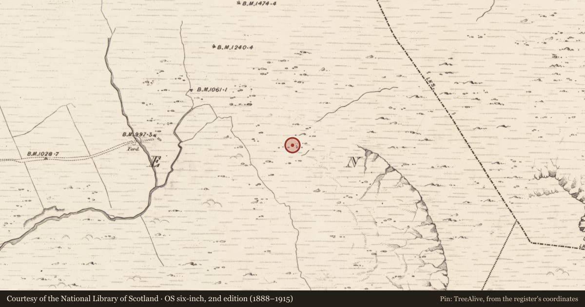 Ordnance Survey six-inch map, 2nd edition (1888–1915) covering the location of Hut site, Erneen, County Kerry, with a pin at the register's coordinates