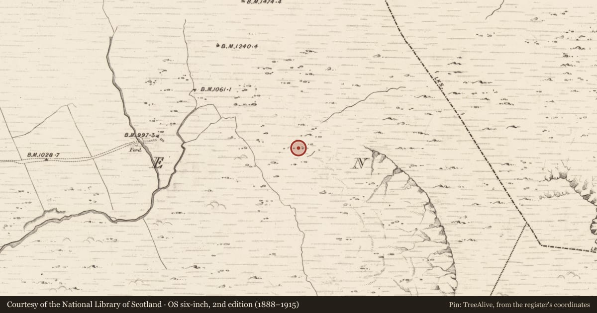 Ordnance Survey six-inch map, 2nd edition (1888–1915) covering the location of Hut site, Erneen, County Kerry, with a pin at the register's coordinates