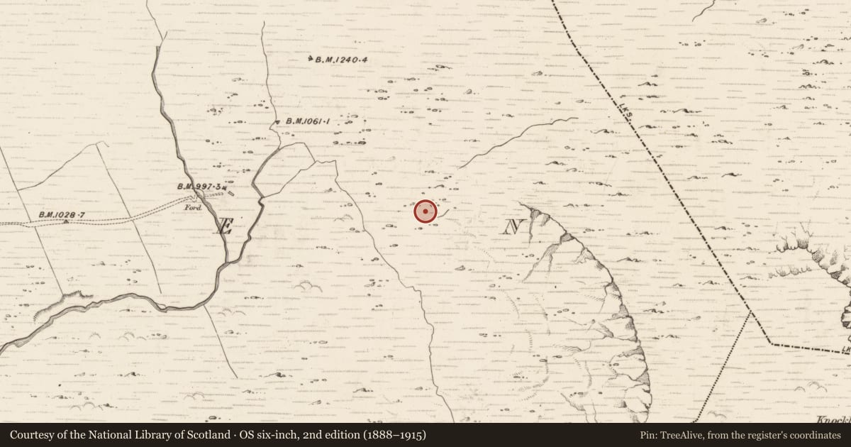 Ordnance Survey six-inch map, 2nd edition (1888–1915) covering the location of Hut site, Erneen, County Kerry, with a pin at the register's coordinates