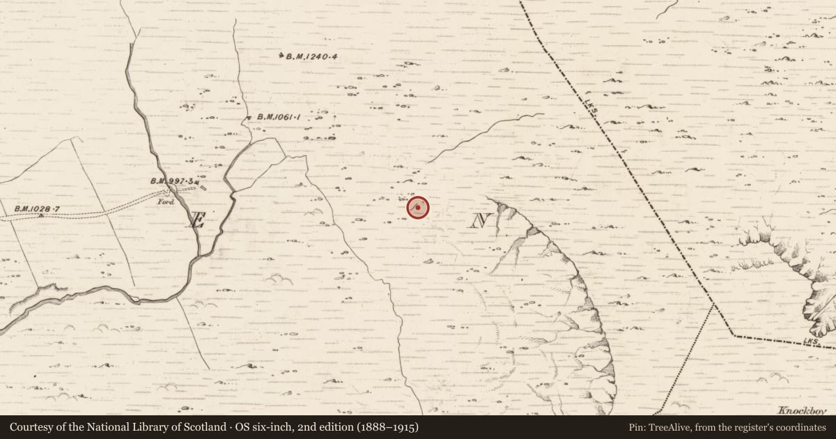 Ordnance Survey six-inch map, 2nd edition (1888–1915) covering the location of Hut site, Erneen, County Kerry, with a pin at the register's coordinates