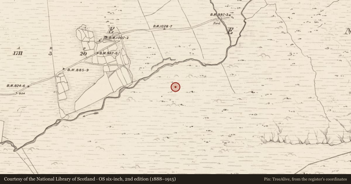 Ordnance Survey six-inch map, 2nd edition (1888–1915) covering the location of Hut site, Erneen, County Kerry, with a pin at the register's coordinates