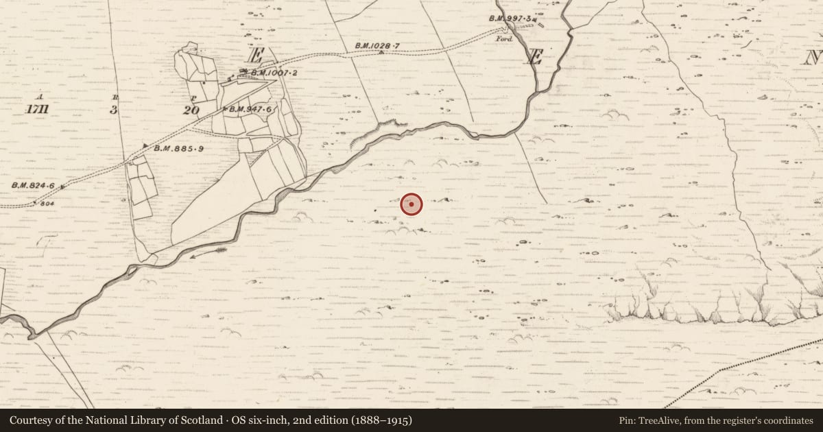 Ordnance Survey six-inch map, 2nd edition (1888–1915) covering the location of Hut site, Erneen, County Kerry, with a pin at the register's coordinates