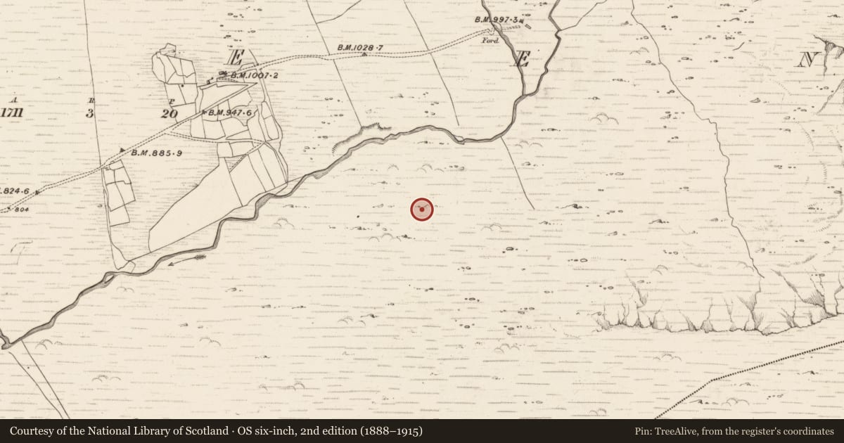Ordnance Survey six-inch map, 2nd edition (1888–1915) covering the location of Hut site, Erneen, County Kerry, with a pin at the register's coordinates