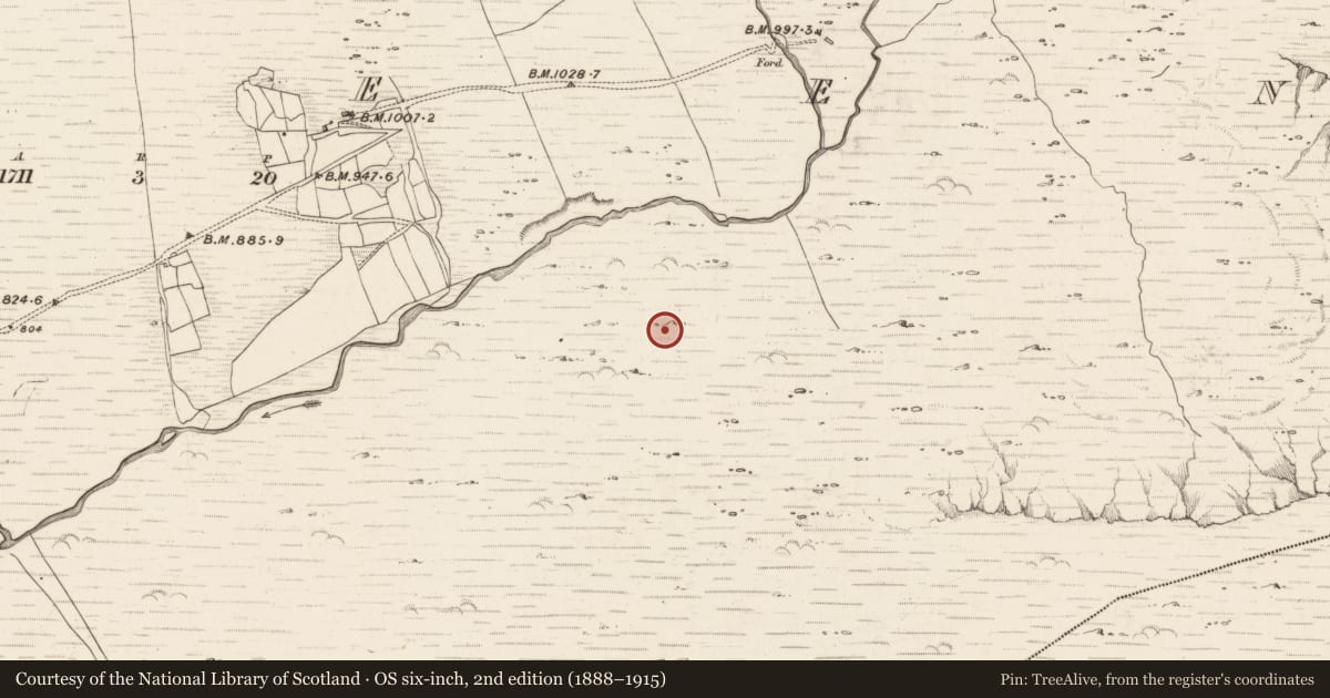 Ordnance Survey six-inch map, 2nd edition (1888–1915) covering the location of Hut site, Erneen, County Kerry, with a pin at the register's coordinates