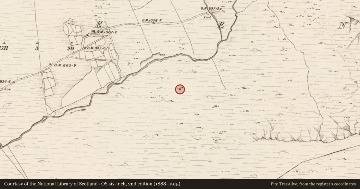 Ordnance Survey six-inch map, 2nd edition (1888–1915) covering the location of Hut site, Erneen, County Kerry, with a pin at the register's coordinates