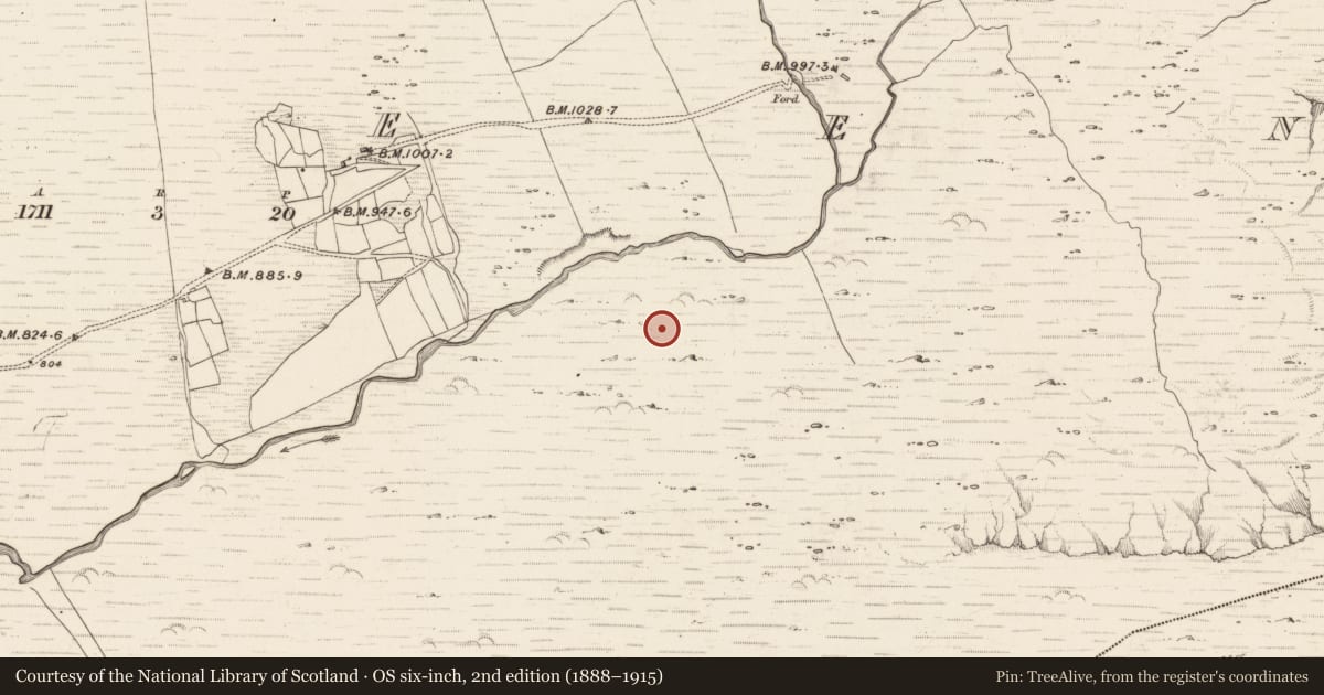 Ordnance Survey six-inch map, 2nd edition (1888–1915) covering the location of Hut site, Erneen, County Kerry, with a pin at the register's coordinates