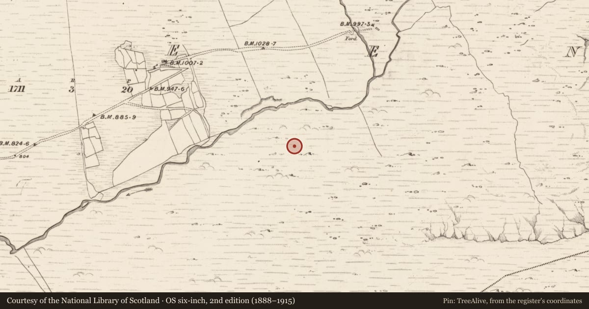 Ordnance Survey six-inch map, 2nd edition (1888–1915) covering the location of Hut site, Erneen, County Kerry, with a pin at the register's coordinates