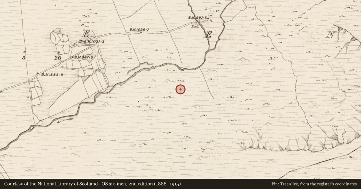 Ordnance Survey six-inch map, 2nd edition (1888–1915) covering the location of Hut site, Erneen, County Kerry, with a pin at the register's coordinates