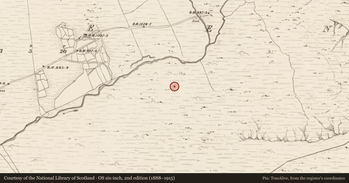 Ordnance Survey six-inch map, 2nd edition (1888–1915) covering the location of Enclosure, Erneen, County Kerry, with a pin at the register's coordinates