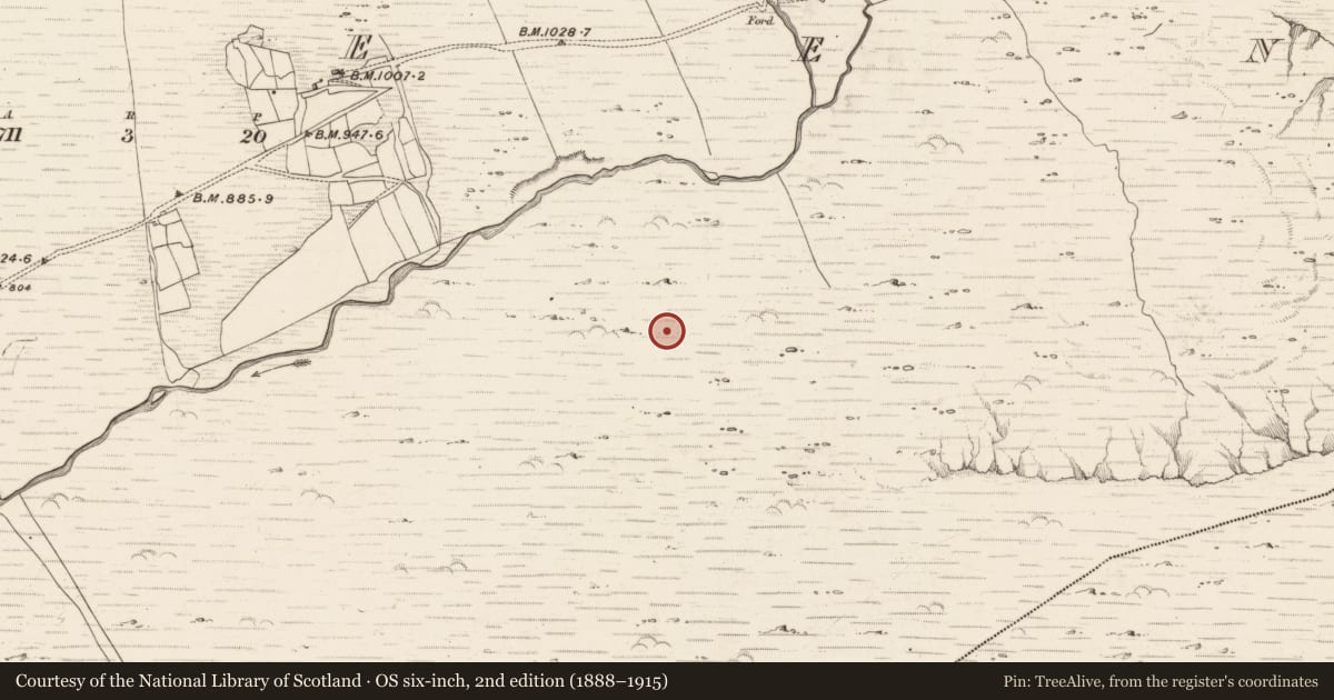 Ordnance Survey six-inch map, 2nd edition (1888–1915) covering the location of Field boundary, Erneen, County Kerry, with a pin at the register's coordinates