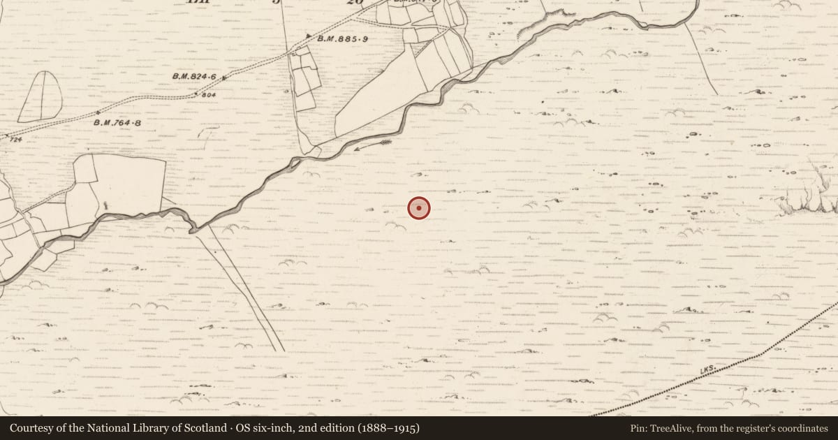 Ordnance Survey six-inch map, 2nd edition (1888–1915) covering the location of Enclosure, Erneen, County Kerry, with a pin at the register's coordinates