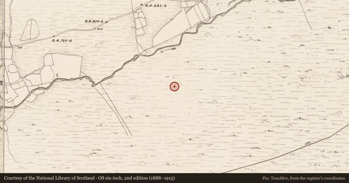 Ordnance Survey six-inch map, 2nd edition (1888–1915) covering the location of Field boundary, Erneen, County Kerry, with a pin at the register's coordinates