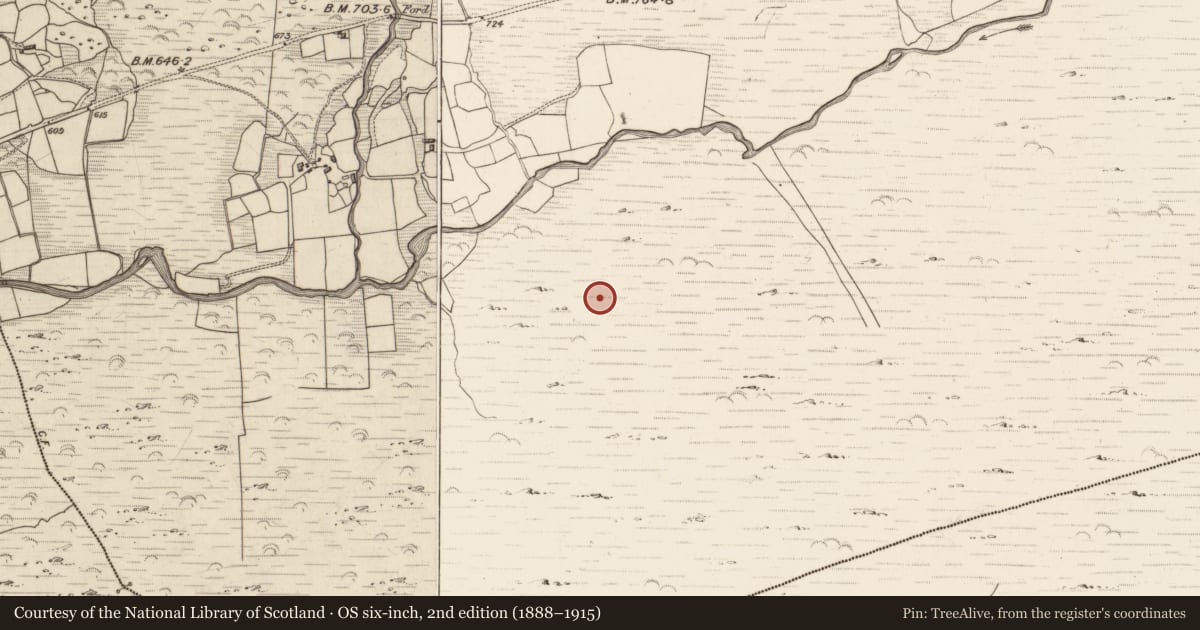 Ordnance Survey six-inch map, 2nd edition (1888–1915) covering the location of Hut site, Erneen, County Kerry, with a pin at the register's coordinates