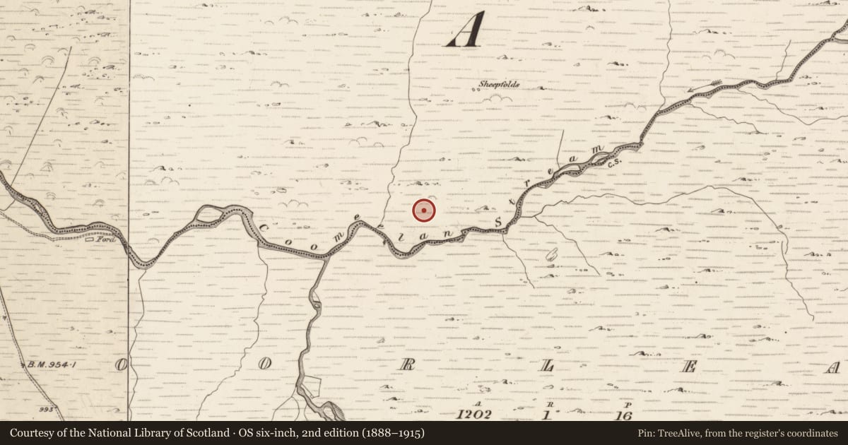 Ordnance Survey six-inch map, 2nd edition (1888–1915) covering the location of Field boundary, Gearhanagoul, County Kerry, with a pin at the register's coordinates