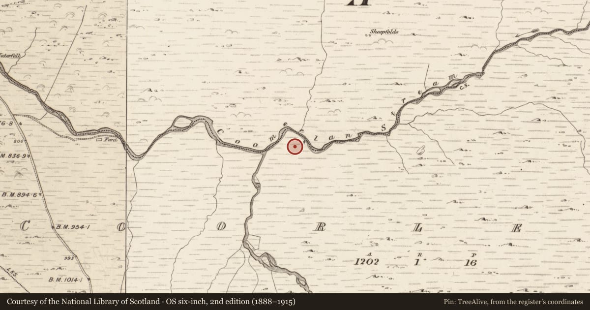 Ordnance Survey six-inch map, 2nd edition (1888–1915) covering the location of Hut site, Coorleagh, County Kerry, with a pin at the register's coordinates
