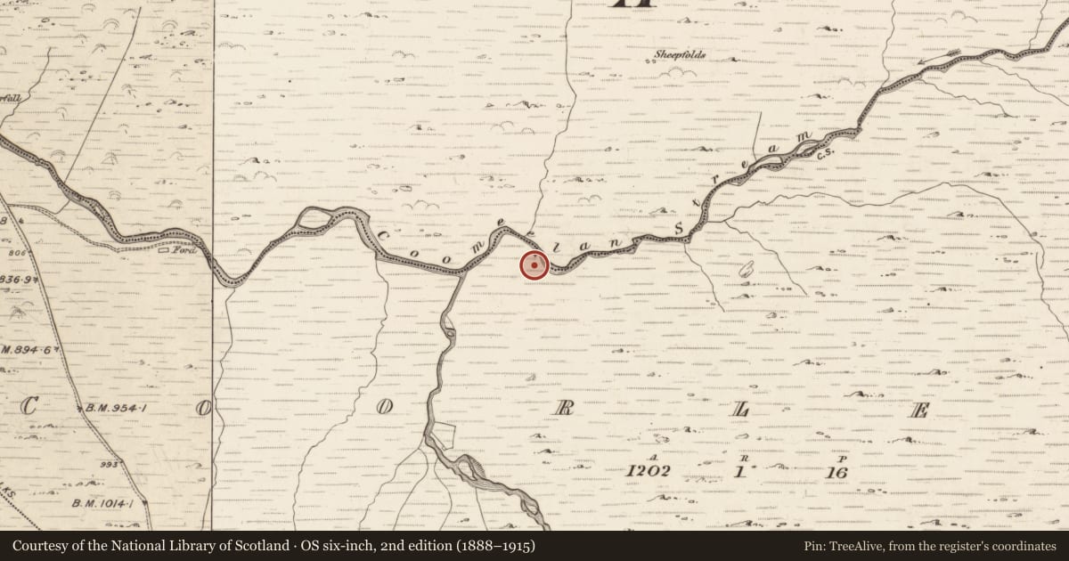 Ordnance Survey six-inch map, 2nd edition (1888–1915) covering the location of Hut site, Coorleagh, County Kerry, with a pin at the register's coordinates