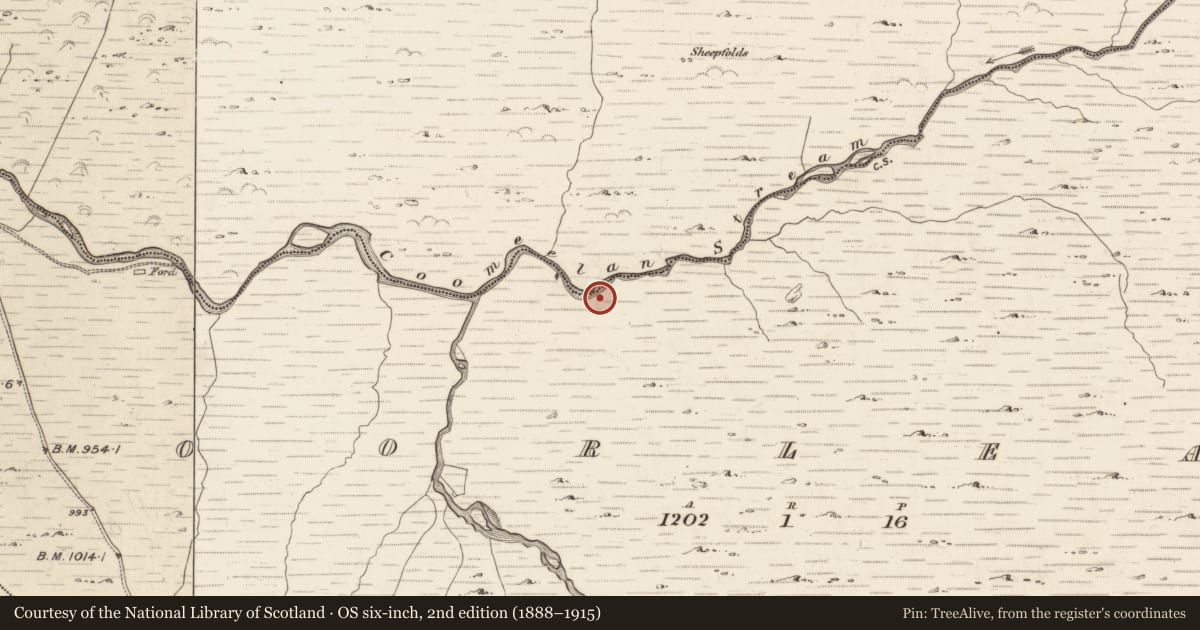 Ordnance Survey six-inch map, 2nd edition (1888–1915) covering the location of Hut site, Coorleagh, County Kerry, with a pin at the register's coordinates
