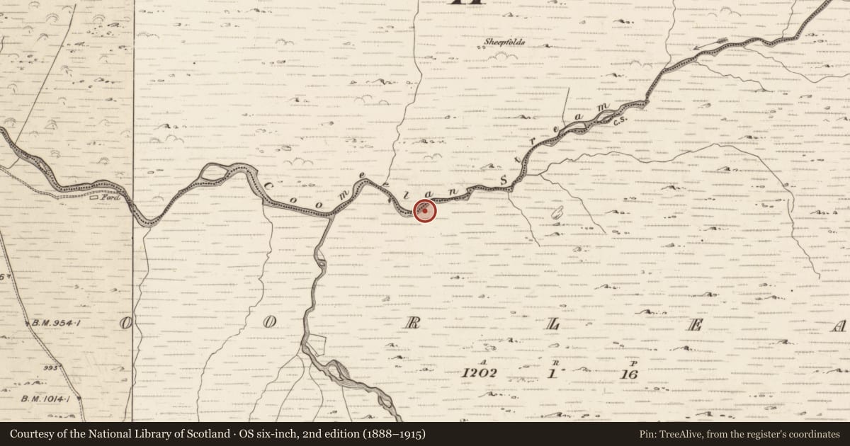 Ordnance Survey six-inch map, 2nd edition (1888–1915) covering the location of Hut site, Coorleagh, County Kerry, with a pin at the register's coordinates
