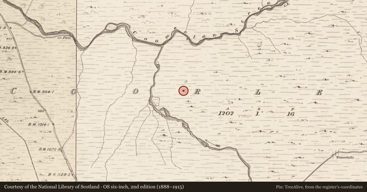 Ordnance Survey six-inch map, 2nd edition (1888–1915) covering the location of Field boundary, Coorleagh, County Kerry, with a pin at the register's coordinates