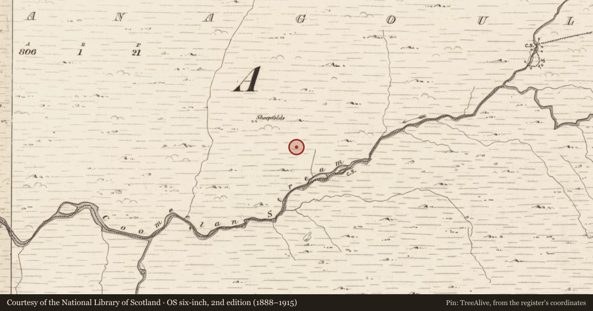 Ordnance Survey six-inch map, 2nd edition (1888–1915) covering the location of Fulacht fia, Gearhanagoul, County Kerry, with a pin at the register's coordinates
