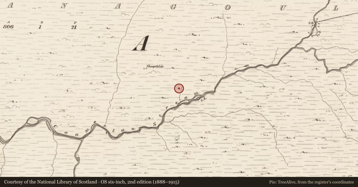 Ordnance Survey six-inch map, 2nd edition (1888–1915) covering the location of Field boundary, Gearhanagoul, County Kerry, with a pin at the register's coordinates