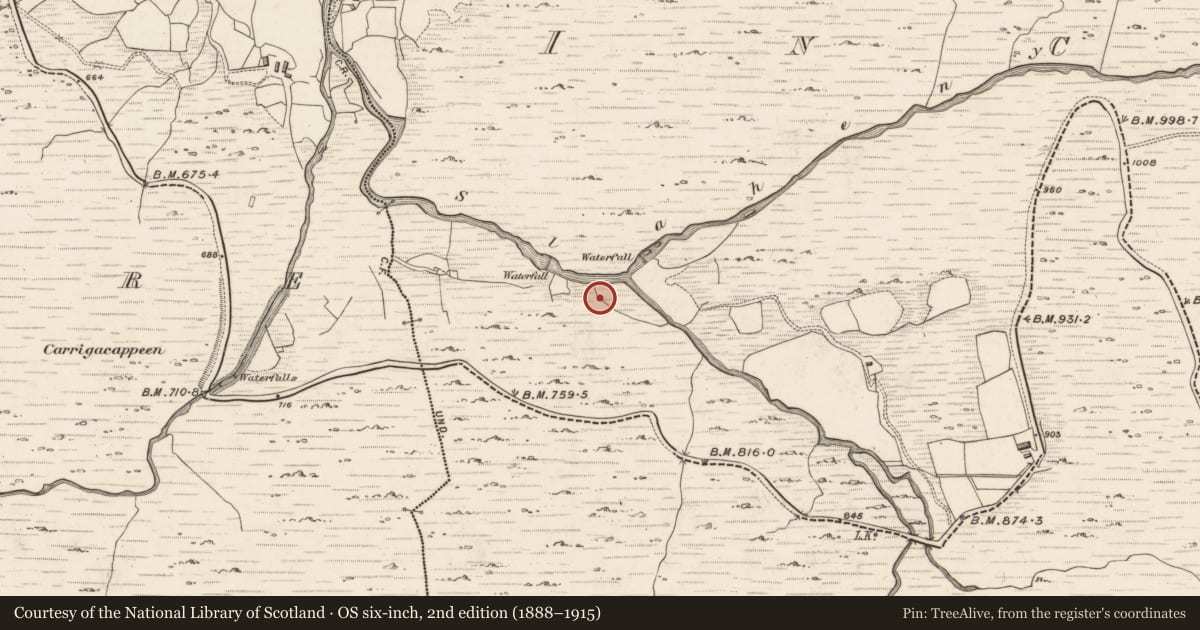 Ordnance Survey six-inch map, 2nd edition (1888–1915) covering the location of Cairn - unclassified, Inchinanagh, County Kerry, with a pin at the register's coordinates