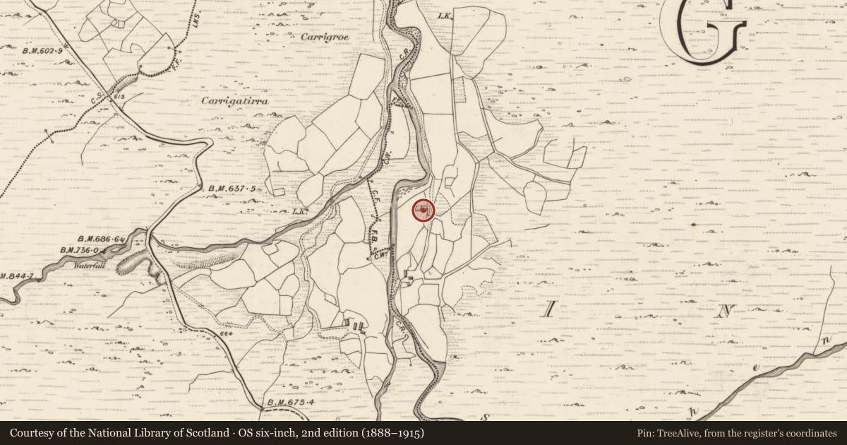 Ordnance Survey six-inch map, 2nd edition (1888–1915) covering the location of Kiln - lime, Inchinanagh, County Kerry, with a pin at the register's coordinates