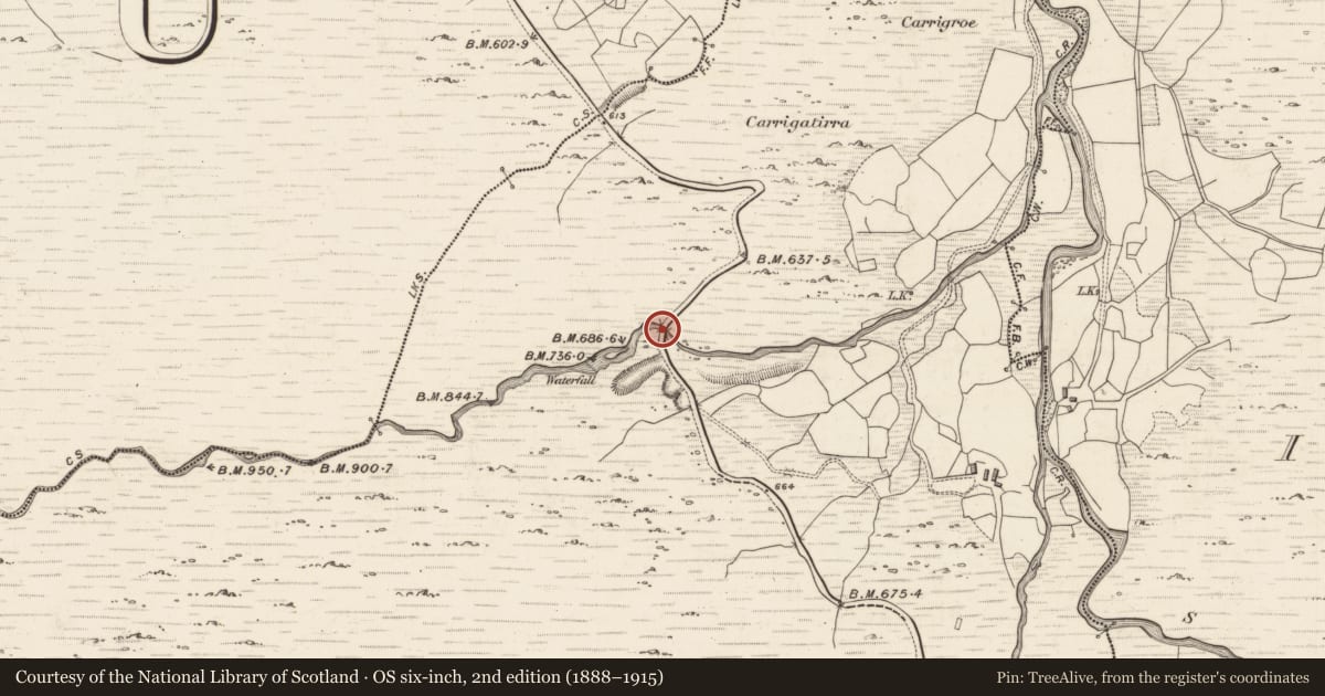 Ordnance Survey six-inch map, 2nd edition (1888–1915) covering the location of Bridge, Inchimore, County Kerry, with a pin at the register's coordinates