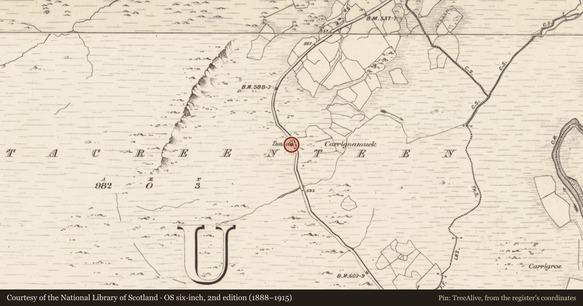 Ordnance Survey six-inch map, 2nd edition (1888–1915) covering the location of Tunnel, Gortacreenteen, County Kerry, with a pin at the register's coordinates