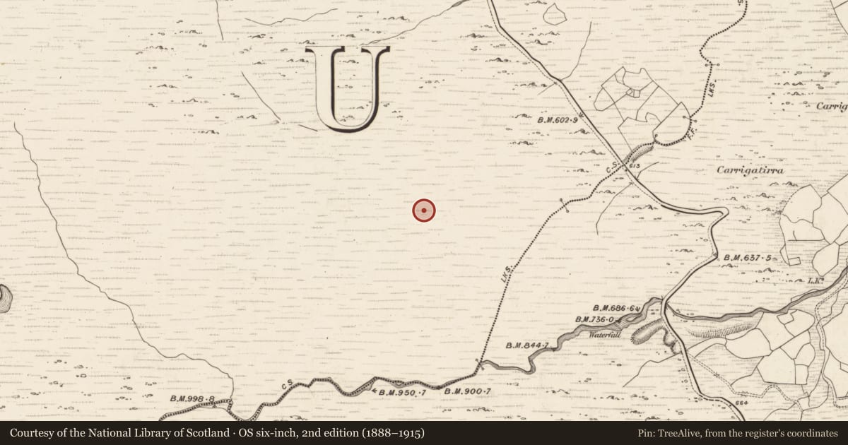 Ordnance Survey six-inch map, 2nd edition (1888–1915) covering the location of Hut site, Gortacreenteen, County Kerry, with a pin at the register's coordinates